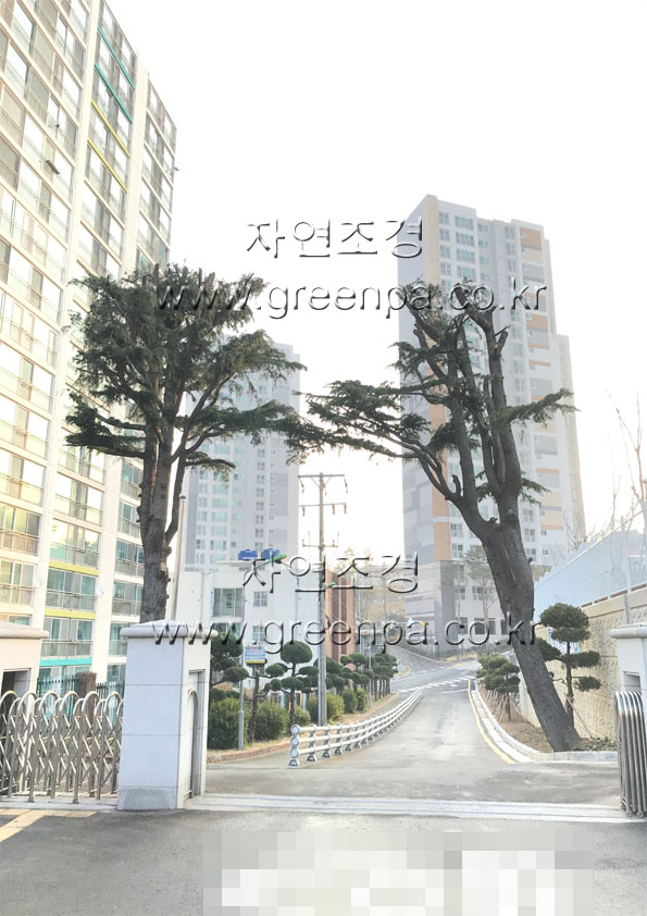 2c799208ef6baf674b4ecde67bd13fd7_1561595666_0351.JPG